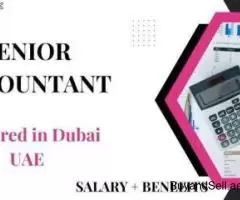 Senior Accountant Required in Dubai