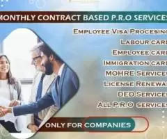 We provide Monthly contract based PRO services in cheap price