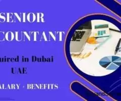 Senior Accountant Required in Dubai