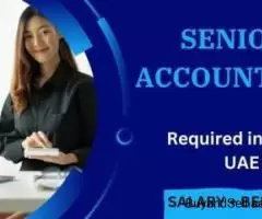 Senior Accountant Required in Dubai