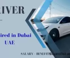 Driver Required in Dubai