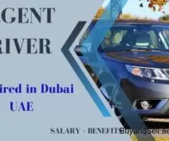 Urgent Driver Required in Dubai