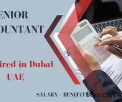 Senior Accountant Required in Dubai