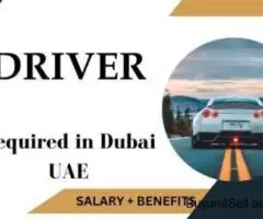 Driver Required in Dubai