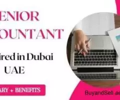 Senior Accountant Required in Dubai