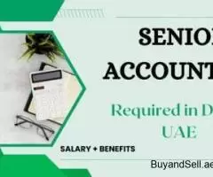 Senior Accountant Required in Dubai