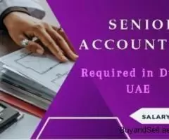 Senior Accountant Required in Dubai