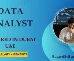 Data Analyst Required in Dubai