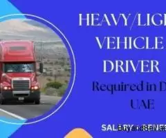 Heavy / Light Vehicle Driver Required in Dubai