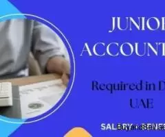 Junior Accountant Required in Dubai