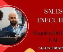 Sales Executive Required in Dubai