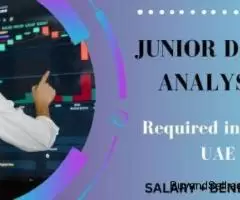 Junior Data Analyst Required in Dubai