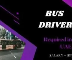 Bus Driver Required in Dubai