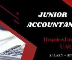 Junior Accountant Required in Dubai