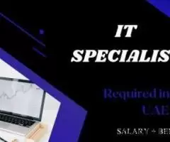 IT Specialist Required in Dubai