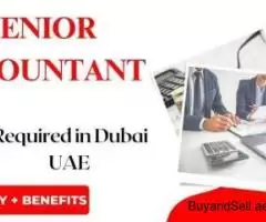 Senior Accountant Required in Dubai