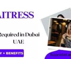 Waitress Required in Dubai