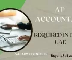 Urgent AP Accountant Required in Dubai