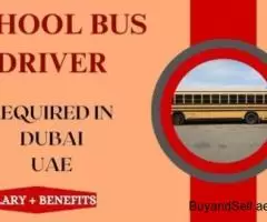 School Bus Driver Required in Dubai