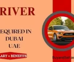 Driver Required in Dubai