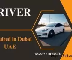 Driver Required in Dubai