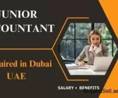 Junior Accountant Required in Dubai