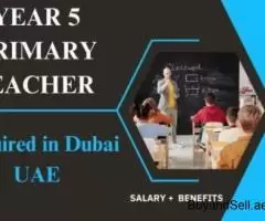 Year 5 Primary Teacher Required in Dubai