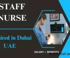 Staff Nurse Required in Dubai