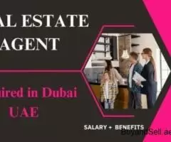 Real Estate Agent Required in Dubai