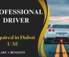 Professional Driver Required in Dubai