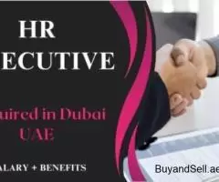 Human Resources Executive Required in Dubai