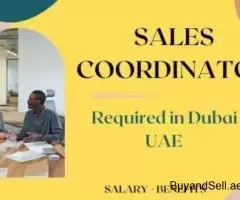 Sales Coordinator Required in Dubai