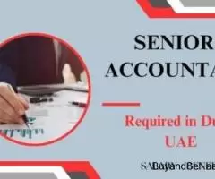 Senior Accountant Required in Dubai