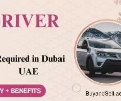 Driver Required in Dubai