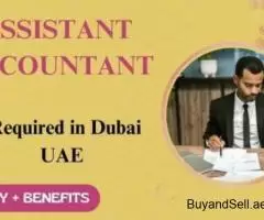 Assistant Accountant Required in Dubai