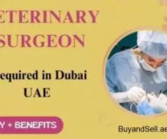 Veterinary Surgeon Required in Dubai