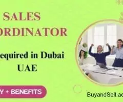 Sales Coordinator Required in Dubai