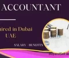 Accountant Required in Dubai