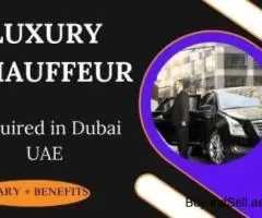 Luxury Chauffeur Required in Dubai