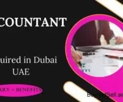 Accountant Required in Dubai