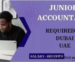 Junior Accountant Required in Dubai