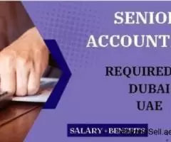 Senior Accountant Required in Dubai