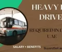 Heavy bus Driver Required in Dubai