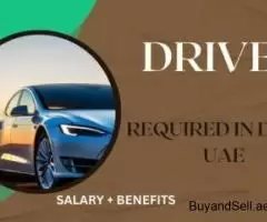 Driver Required in Dubai