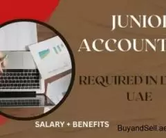 Junior Accountant Required in Dubai