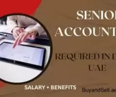 Senior Accountant Required in Dubai