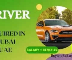 Driver Required in Dubai