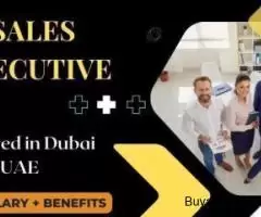 Sales Executive Required in Dubai