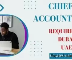 Chief Accountant Required in Dubai