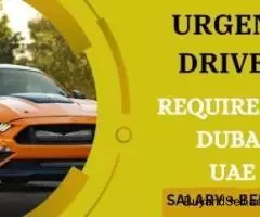 Urgent Driver Required in Dubai